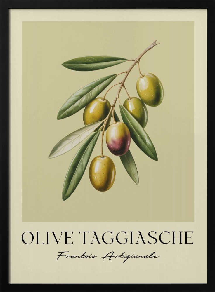 A vintage-style botanical art print of an olive branch with green Taggiasche olives against a muted green background. The text 'OLIVE TAGGIASCHE' and 'Frantoio Artigianale' is at the bottom. The print is matted and in a black frame. Print
