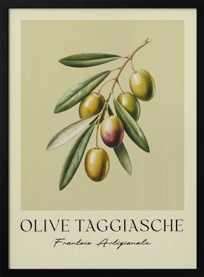 A vintage-style botanical art print of an olive branch with green Taggiasche olives against a muted green background. The text 'OLIVE TAGGIASCHE' and 'Frantoio Artigianale' is at the bottom. The print is matted and in a black frame. Print