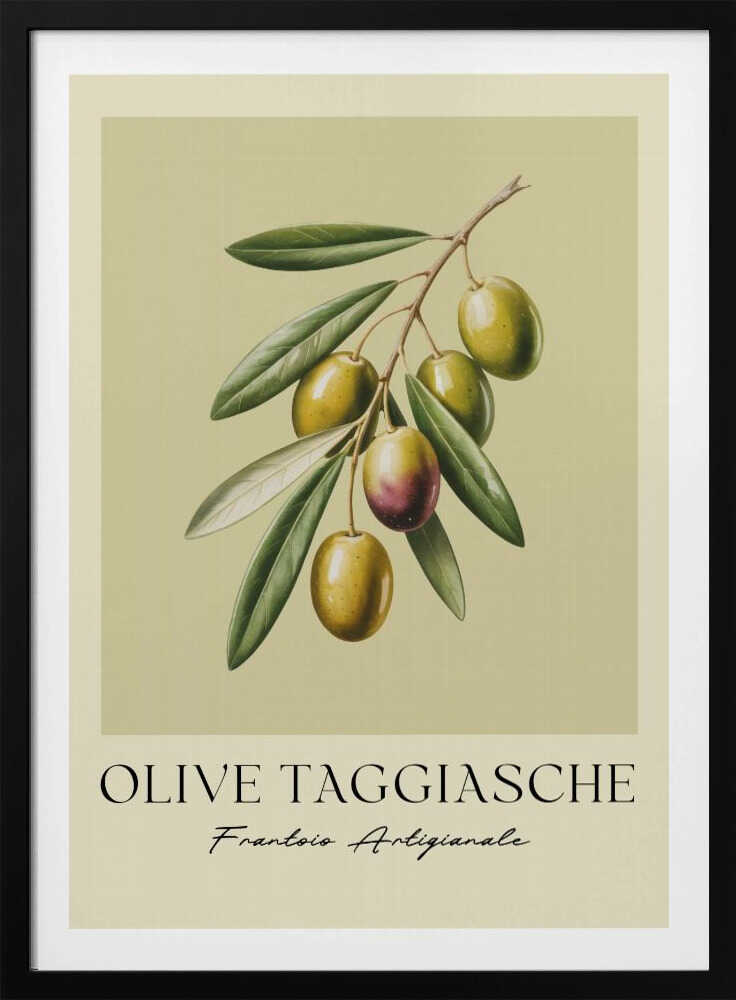 A vintage-style botanical art print of an olive branch with green Taggiasche olives against a muted green background. The text 'OLIVE TAGGIASCHE' and 'Frantoio Artigianale' is at the bottom. The print is matted and in a black frame. Print