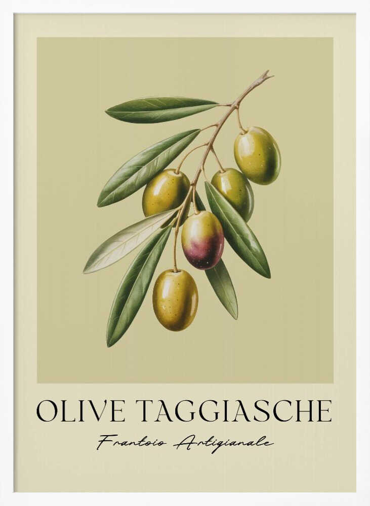 A vintage-style botanical art print of an olive branch with green Taggiasche olives against a muted green background. The text 'OLIVE TAGGIASCHE' and 'Frantoio Artigianale' is at the bottom. The print is matted and in a black frame. Print