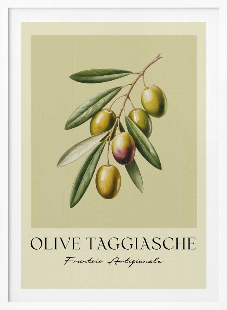 A vintage-style botanical art print of an olive branch with green Taggiasche olives against a muted green background. The text 'OLIVE TAGGIASCHE' and 'Frantoio Artigianale' is at the bottom. The print is matted and in a black frame. Print