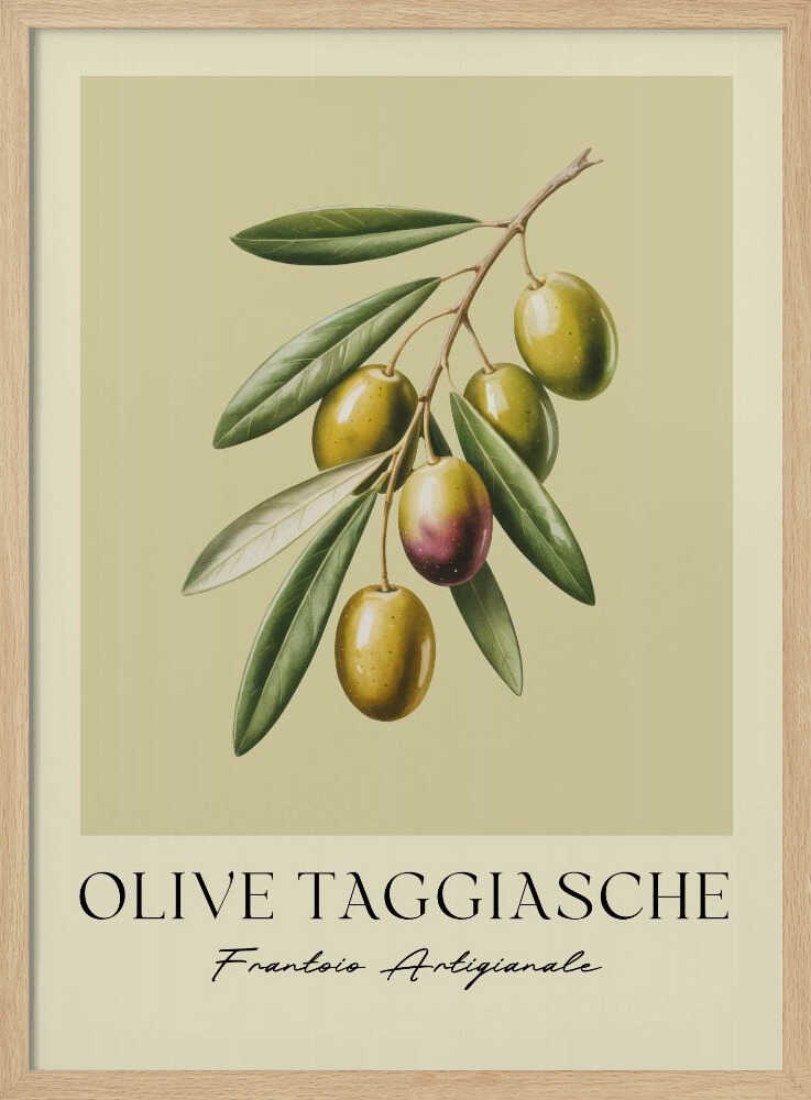 A vintage-style botanical art print of an olive branch with green Taggiasche olives against a muted green background. The text 'OLIVE TAGGIASCHE' and 'Frantoio Artigianale' is at the bottom. The print is matted and in a black frame. Print