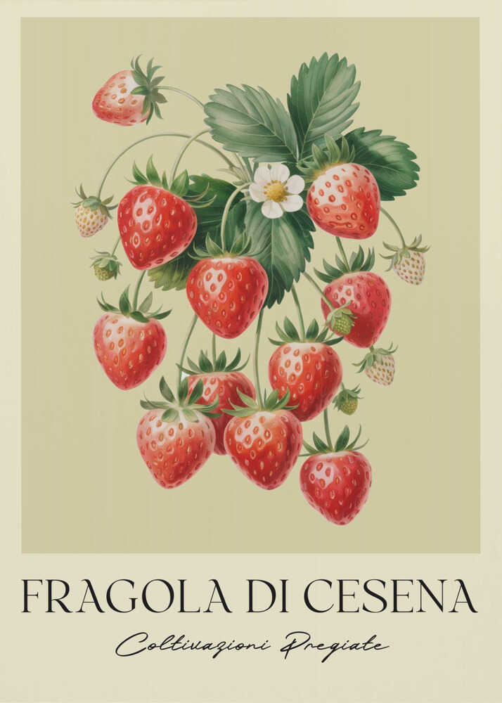 A vintage-style botanical poster featuring a detailed illustration of a strawberry plant with bright red berries, green leaves, and a small white flower. The background is a soft, pale yellow. Below the illustration, the text reads 'FRAGOLA DI CESENA' and 'Coltivazioni Pregiate' in Italian. The entire print is framed in black. Print