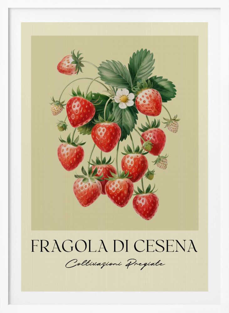 A vintage-style botanical poster featuring a detailed illustration of a strawberry plant with bright red berries, green leaves, and a small white flower. The background is a soft, pale yellow. Below the illustration, the text reads 'FRAGOLA DI CESENA' and 'Coltivazioni Pregiate' in Italian. The entire print is framed in black. Print