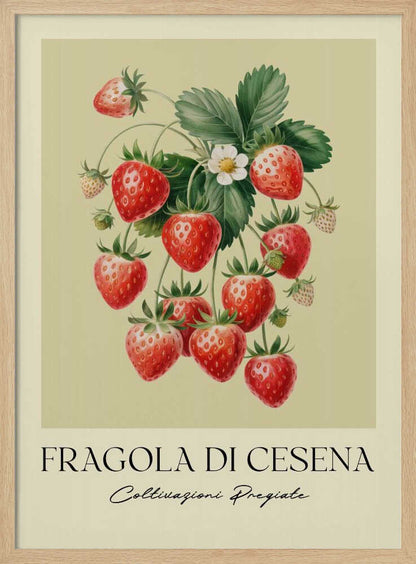 A vintage-style botanical poster featuring a detailed illustration of a strawberry plant with bright red berries, green leaves, and a small white flower. The background is a soft, pale yellow. Below the illustration, the text reads 'FRAGOLA DI CESENA' and 'Coltivazioni Pregiate' in Italian. The entire print is framed in black. Print