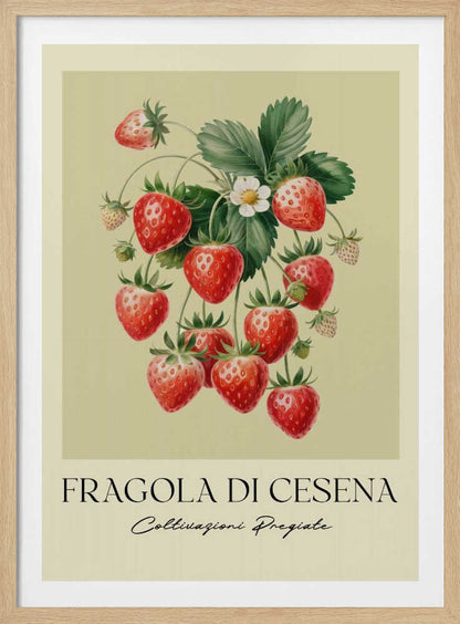A vintage-style botanical poster featuring a detailed illustration of a strawberry plant with bright red berries, green leaves, and a small white flower. The background is a soft, pale yellow. Below the illustration, the text reads 'FRAGOLA DI CESENA' and 'Coltivazioni Pregiate' in Italian. The entire print is framed in black. Print