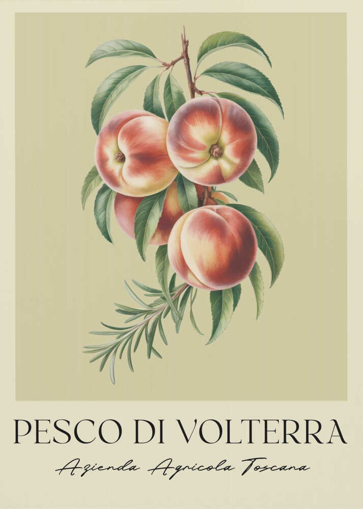A vintage-style botanical poster of a peach branch with several ripe, red and yellow peaches and green leaves, set against a muted beige background. The poster has Italian text at the bottom that reads 'PESCO DI VOLTERRA' and 'Azienda Agricola Toscana' and is shown in a black frame. Decor
