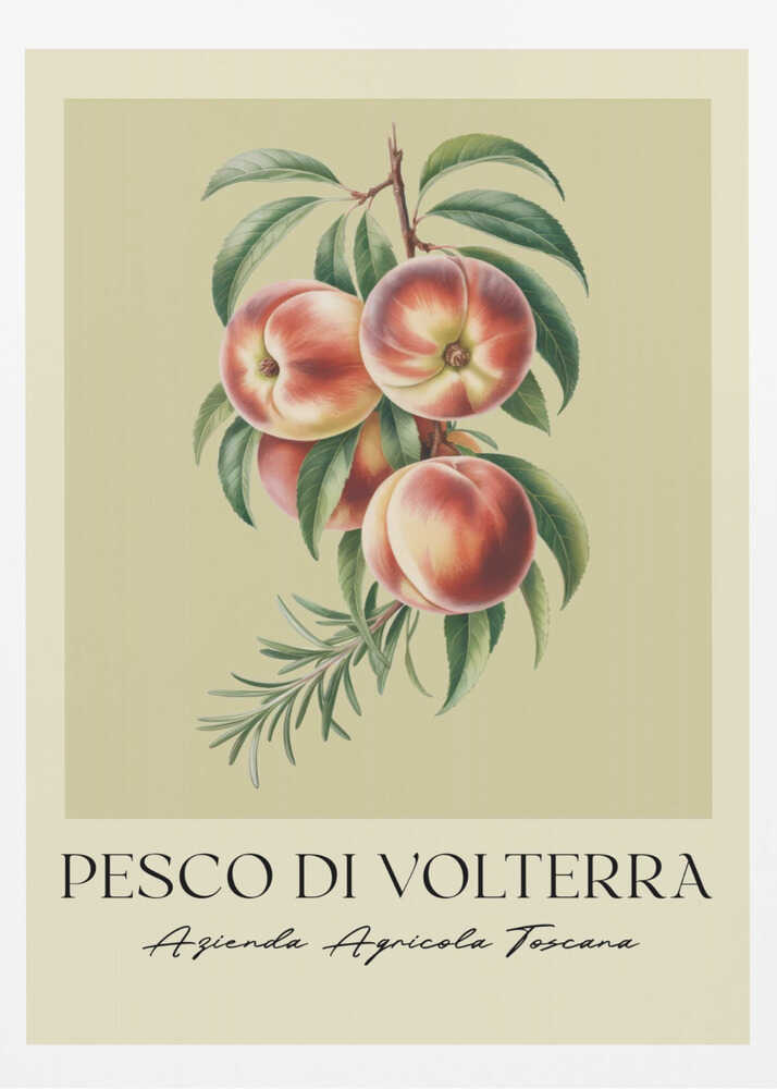 A vintage-style botanical poster of a peach branch with several ripe, red and yellow peaches and green leaves, set against a muted beige background. The poster has Italian text at the bottom that reads 'PESCO DI VOLTERRA' and 'Azienda Agricola Toscana' and is shown in a black frame. Decor