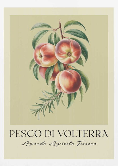 A vintage-style botanical poster of a peach branch with several ripe, red and yellow peaches and green leaves, set against a muted beige background. The poster has Italian text at the bottom that reads 'PESCO DI VOLTERRA' and 'Azienda Agricola Toscana' and is shown in a black frame. Decor