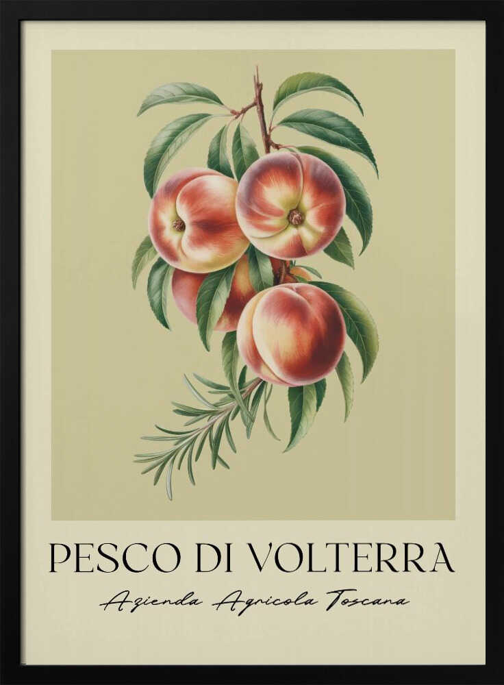 A vintage-style botanical poster of a peach branch with several ripe, red and yellow peaches and green leaves, set against a muted beige background. The poster has Italian text at the bottom that reads 'PESCO DI VOLTERRA' and 'Azienda Agricola Toscana' and is shown in a black frame. Decor