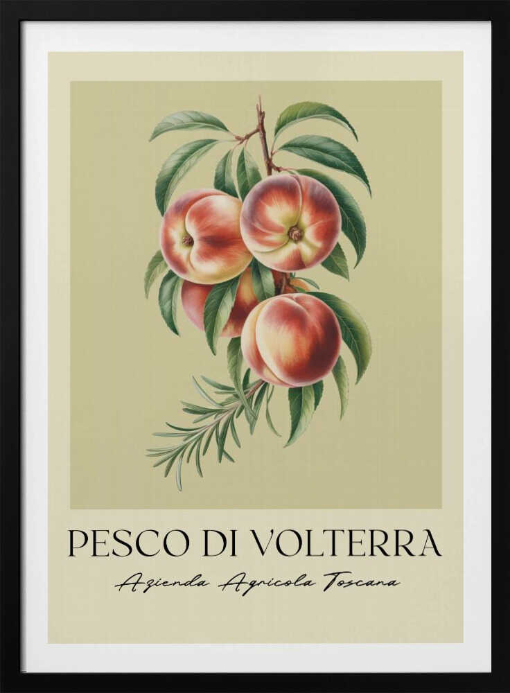A vintage-style botanical poster of a peach branch with several ripe, red and yellow peaches and green leaves, set against a muted beige background. The poster has Italian text at the bottom that reads 'PESCO DI VOLTERRA' and 'Azienda Agricola Toscana' and is shown in a black frame. Decor