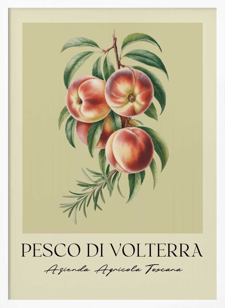 A vintage-style botanical poster of a peach branch with several ripe, red and yellow peaches and green leaves, set against a muted beige background. The poster has Italian text at the bottom that reads 'PESCO DI VOLTERRA' and 'Azienda Agricola Toscana' and is shown in a black frame. Decor