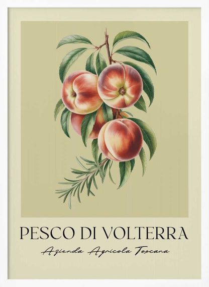 A vintage-style botanical poster of a peach branch with several ripe, red and yellow peaches and green leaves, set against a muted beige background. The poster has Italian text at the bottom that reads 'PESCO DI VOLTERRA' and 'Azienda Agricola Toscana' and is shown in a black frame. Decor