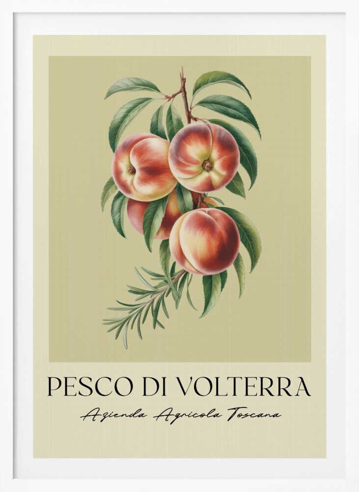 A vintage-style botanical poster of a peach branch with several ripe, red and yellow peaches and green leaves, set against a muted beige background. The poster has Italian text at the bottom that reads 'PESCO DI VOLTERRA' and 'Azienda Agricola Toscana' and is shown in a black frame. Decor