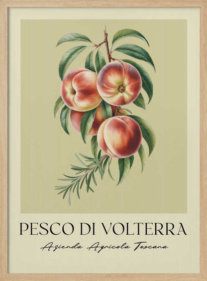 A vintage-style botanical poster of a peach branch with several ripe, red and yellow peaches and green leaves, set against a muted beige background. The poster has Italian text at the bottom that reads 'PESCO DI VOLTERRA' and 'Azienda Agricola Toscana' and is shown in a black frame. Decor