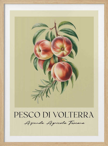 A vintage-style botanical poster of a peach branch with several ripe, red and yellow peaches and green leaves, set against a muted beige background. The poster has Italian text at the bottom that reads 'PESCO DI VOLTERRA' and 'Azienda Agricola Toscana' and is shown in a black frame. Decor