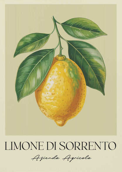 A vintage-style art print featuring a detailed illustration of a large yellow Sorrento lemon hanging from a branch with several green leaves. The background is a solid cream color. Below the image, the text 'LIMONE DI SORRENTO' is printed in a black serif font, with 'Azienda Agricola' underneath in a script font. The entire print is framed in a simple black frame. Poster