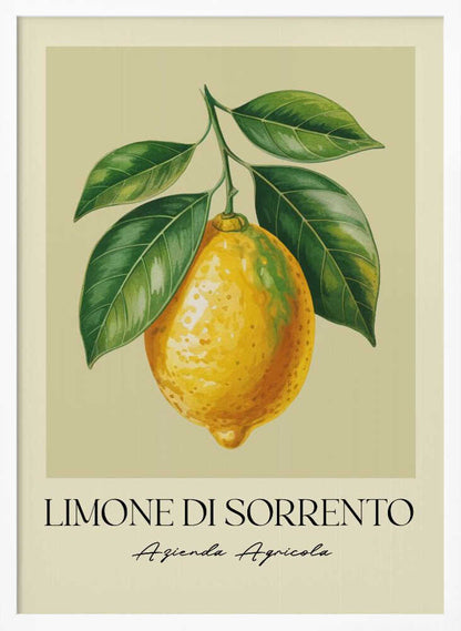 A vintage-style art print featuring a detailed illustration of a large yellow Sorrento lemon hanging from a branch with several green leaves. The background is a solid cream color. Below the image, the text 'LIMONE DI SORRENTO' is printed in a black serif font, with 'Azienda Agricola' underneath in a script font. The entire print is framed in a simple black frame. Poster