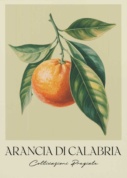 A vintage-style botanical illustration of a ripe orange hanging from a branch with lush green leaves, set against a pale yellow background. Below the image, the text 'ARANCIA DI CALABRIA' is printed in a serif font, with 'Coltivazioni Pregiate' in a script font underneath. The entire print is framed in black. Artwork