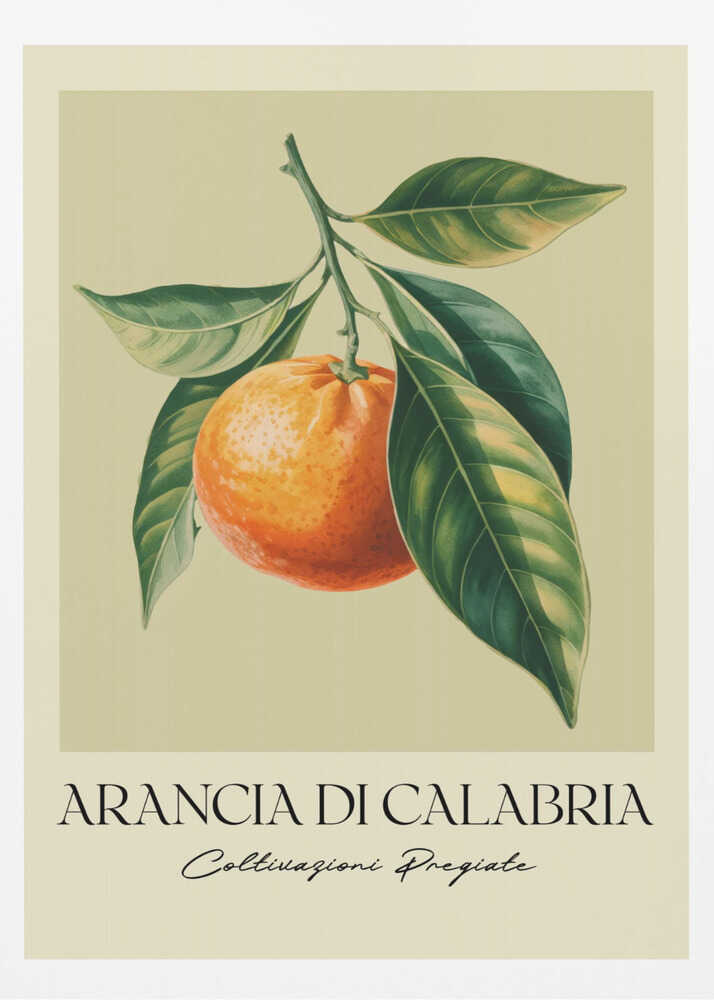 A vintage-style botanical illustration of a ripe orange hanging from a branch with lush green leaves, set against a pale yellow background. Below the image, the text 'ARANCIA DI CALABRIA' is printed in a serif font, with 'Coltivazioni Pregiate' in a script font underneath. The entire print is framed in black. Artwork