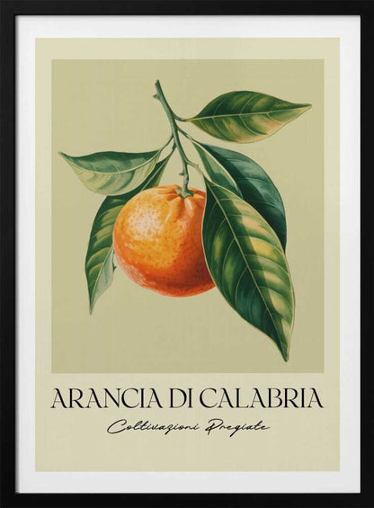 A vintage-style botanical illustration of a ripe orange hanging from a branch with lush green leaves, set against a pale yellow background. Below the image, the text 'ARANCIA DI CALABRIA' is printed in a serif font, with 'Coltivazioni Pregiate' in a script font underneath. The entire print is framed in black. Artwork