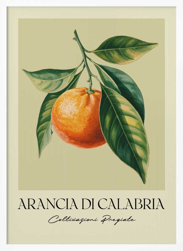 A vintage-style botanical illustration of a ripe orange hanging from a branch with lush green leaves, set against a pale yellow background. Below the image, the text 'ARANCIA DI CALABRIA' is printed in a serif font, with 'Coltivazioni Pregiate' in a script font underneath. The entire print is framed in black. Artwork
