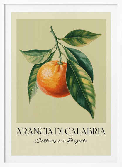 A vintage-style botanical illustration of a ripe orange hanging from a branch with lush green leaves, set against a pale yellow background. Below the image, the text 'ARANCIA DI CALABRIA' is printed in a serif font, with 'Coltivazioni Pregiate' in a script font underneath. The entire print is framed in black. Artwork