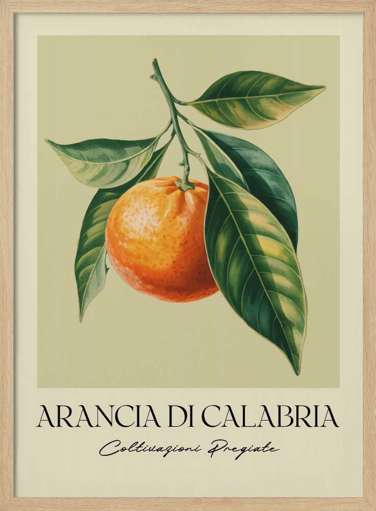 A vintage-style botanical illustration of a ripe orange hanging from a branch with lush green leaves, set against a pale yellow background. Below the image, the text 'ARANCIA DI CALABRIA' is printed in a serif font, with 'Coltivazioni Pregiate' in a script font underneath. The entire print is framed in black. Artwork