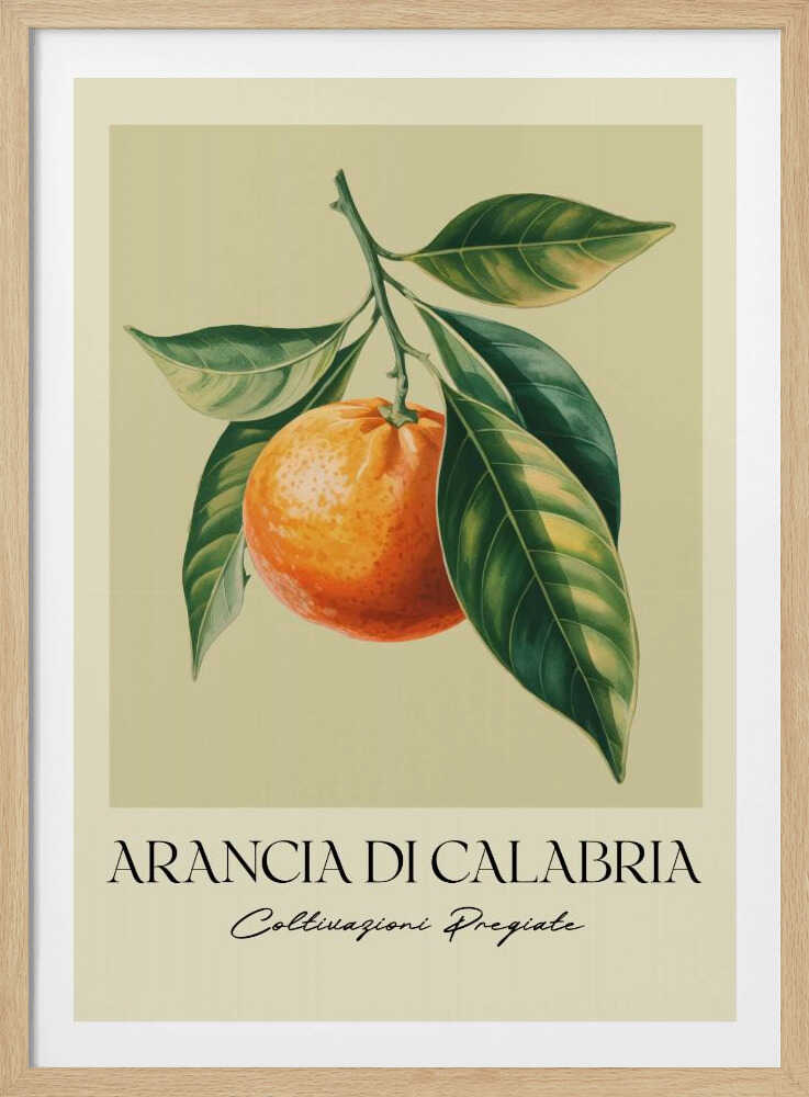 A vintage-style botanical illustration of a ripe orange hanging from a branch with lush green leaves, set against a pale yellow background. Below the image, the text 'ARANCIA DI CALABRIA' is printed in a serif font, with 'Coltivazioni Pregiate' in a script font underneath. The entire print is framed in black. Artwork