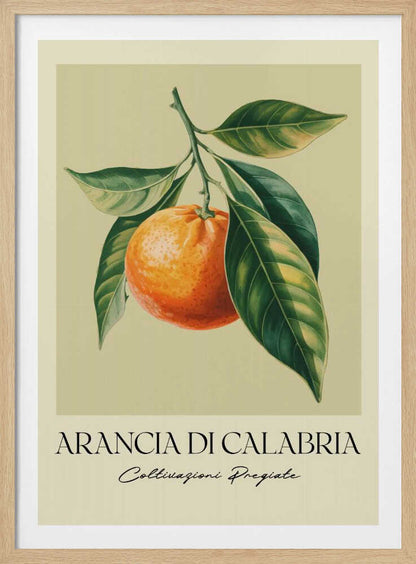 A vintage-style botanical illustration of a ripe orange hanging from a branch with lush green leaves, set against a pale yellow background. Below the image, the text 'ARANCIA DI CALABRIA' is printed in a serif font, with 'Coltivazioni Pregiate' in a script font underneath. The entire print is framed in black. Artwork
