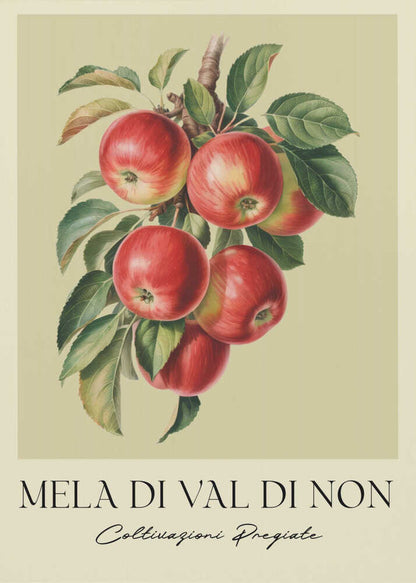 A vintage-style botanical poster featuring a realistic illustration of a cluster of red apples on a branch against a pale yellow-green background. Below the image is the text 'MELA DI VAL DI NON' in a serif font and 'Coltivazioni Pregiate' in a cursive script. The artwork is enclosed in a black frame. Print