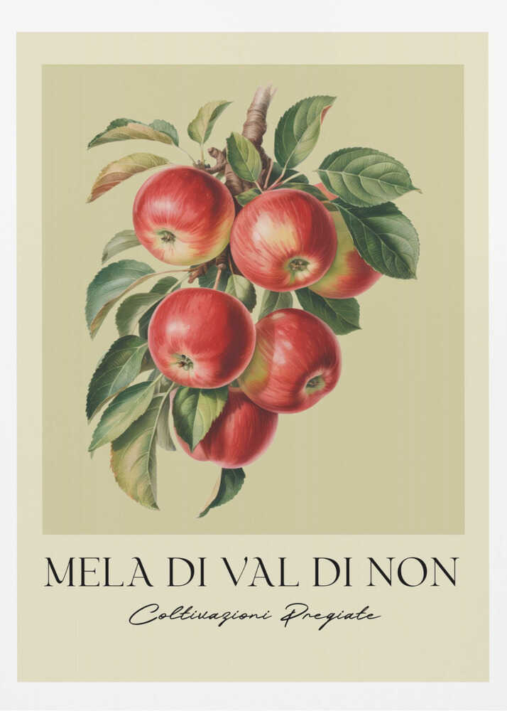 A vintage-style botanical poster featuring a realistic illustration of a cluster of red apples on a branch against a pale yellow-green background. Below the image is the text 'MELA DI VAL DI NON' in a serif font and 'Coltivazioni Pregiate' in a cursive script. The artwork is enclosed in a black frame. Print