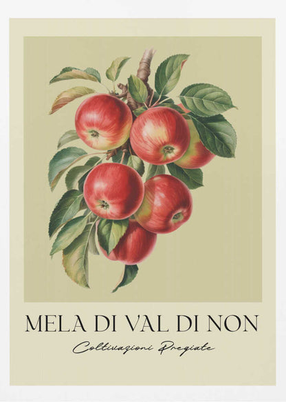 A vintage-style botanical poster featuring a realistic illustration of a cluster of red apples on a branch against a pale yellow-green background. Below the image is the text 'MELA DI VAL DI NON' in a serif font and 'Coltivazioni Pregiate' in a cursive script. The artwork is enclosed in a black frame. Print