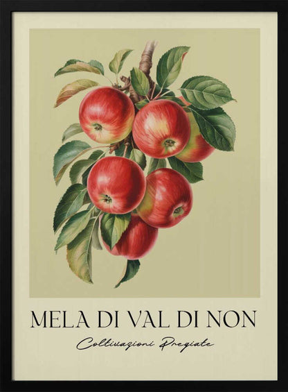 A vintage-style botanical poster featuring a realistic illustration of a cluster of red apples on a branch against a pale yellow-green background. Below the image is the text 'MELA DI VAL DI NON' in a serif font and 'Coltivazioni Pregiate' in a cursive script. The artwork is enclosed in a black frame. Print