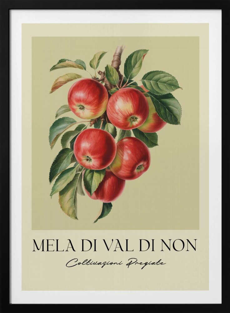 A vintage-style botanical poster featuring a realistic illustration of a cluster of red apples on a branch against a pale yellow-green background. Below the image is the text 'MELA DI VAL DI NON' in a serif font and 'Coltivazioni Pregiate' in a cursive script. The artwork is enclosed in a black frame. Print