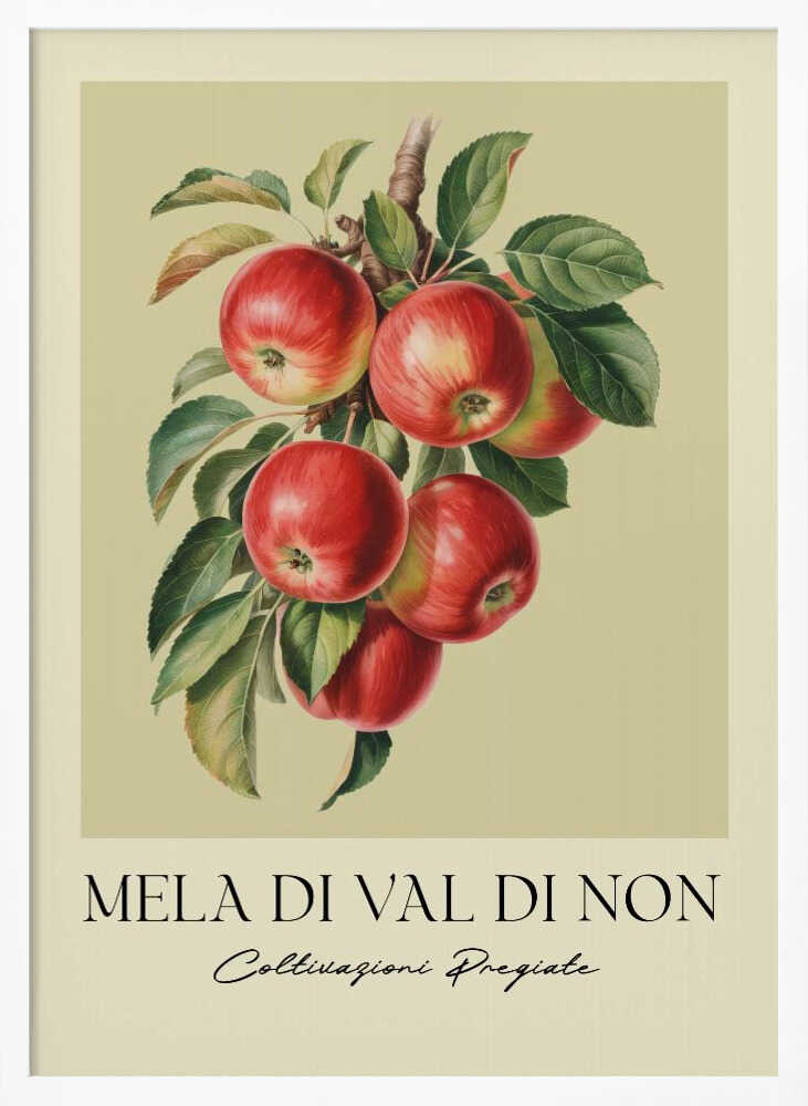 A vintage-style botanical poster featuring a realistic illustration of a cluster of red apples on a branch against a pale yellow-green background. Below the image is the text 'MELA DI VAL DI NON' in a serif font and 'Coltivazioni Pregiate' in a cursive script. The artwork is enclosed in a black frame. Print