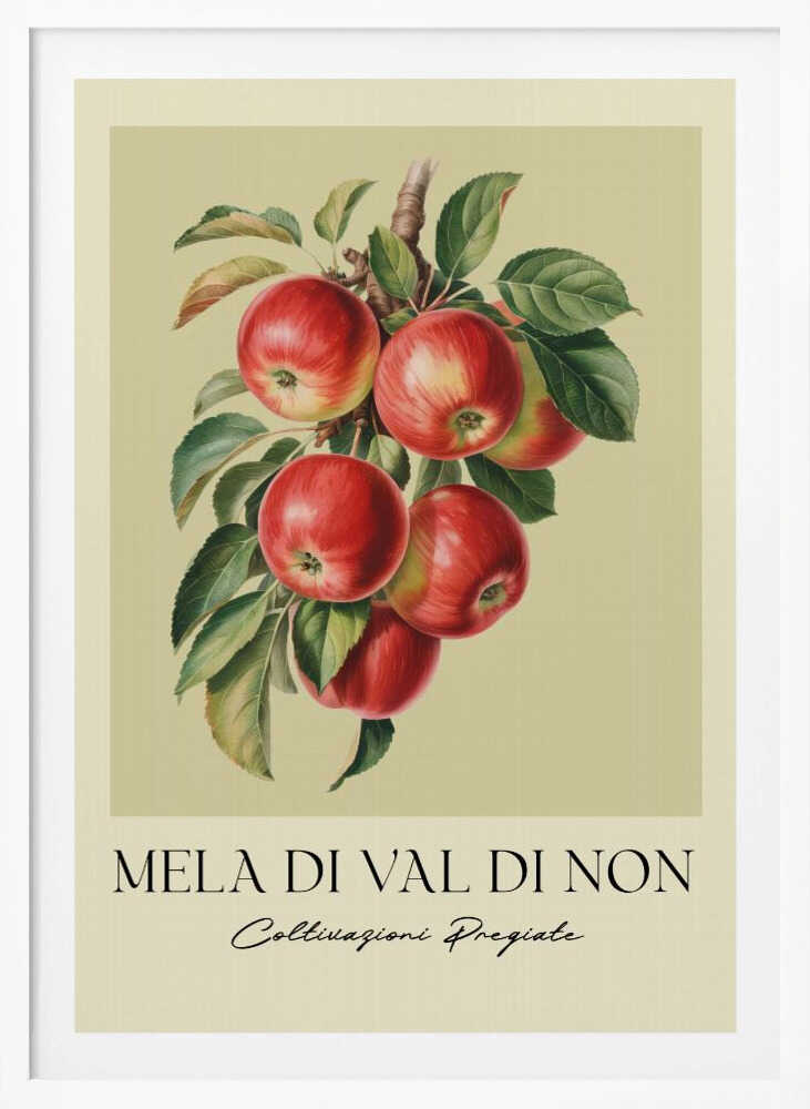 A vintage-style botanical poster featuring a realistic illustration of a cluster of red apples on a branch against a pale yellow-green background. Below the image is the text 'MELA DI VAL DI NON' in a serif font and 'Coltivazioni Pregiate' in a cursive script. The artwork is enclosed in a black frame. Print