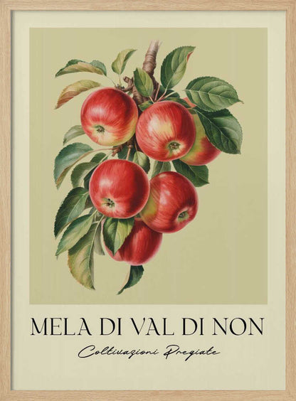 A vintage-style botanical poster featuring a realistic illustration of a cluster of red apples on a branch against a pale yellow-green background. Below the image is the text 'MELA DI VAL DI NON' in a serif font and 'Coltivazioni Pregiate' in a cursive script. The artwork is enclosed in a black frame. Print