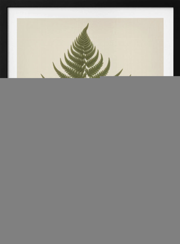 A vintage-style botanical print of a single green fern frond, centered on a light beige background. The scientific name, DRYOPTERIS FILIX-MAS, is printed in the lower right corner. The artwork is presented in a simple black frame. Print