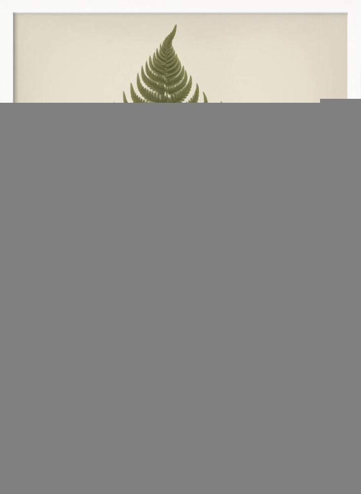 A vintage-style botanical print of a single green fern frond, centered on a light beige background. The scientific name, DRYOPTERIS FILIX-MAS, is printed in the lower right corner. The artwork is presented in a simple black frame. Print