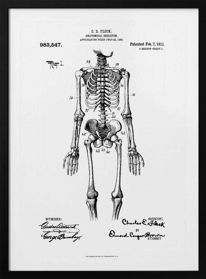 A framed black and white print of a vintage patent illustration for an anatomical skeleton by C.E. Fleck, patented February 7, 1911. The detailed drawing shows a full human skeleton from an anterior view with parts labeled with numbers, set against a light background with official patent text and signatures. Artwork