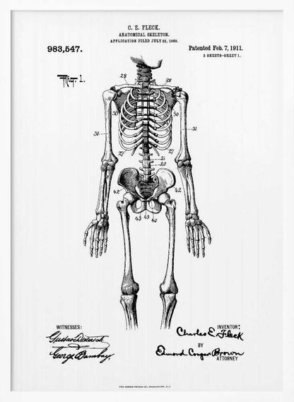 A framed black and white print of a vintage patent illustration for an anatomical skeleton by C.E. Fleck, patented February 7, 1911. The detailed drawing shows a full human skeleton from an anterior view with parts labeled with numbers, set against a light background with official patent text and signatures. Artwork
