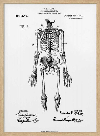 A framed black and white print of a vintage patent illustration for an anatomical skeleton by C.E. Fleck, patented February 7, 1911. The detailed drawing shows a full human skeleton from an anterior view with parts labeled with numbers, set against a light background with official patent text and signatures. Artwork