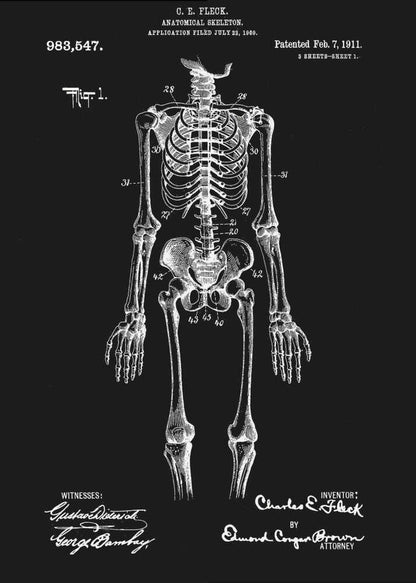 A framed, vintage-style patent illustration of a human anatomical skeleton, presented as a white drawing on a black background. The detailed skeleton is shown from the front, with text indicating the patent number, date, and inventor, C.E. Fleck. Signatures are visible at the bottom. Print