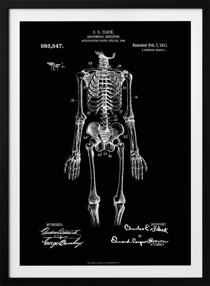 A framed, vintage-style patent illustration of a human anatomical skeleton, presented as a white drawing on a black background. The detailed skeleton is shown from the front, with text indicating the patent number, date, and inventor, C.E. Fleck. Signatures are visible at the bottom. Print