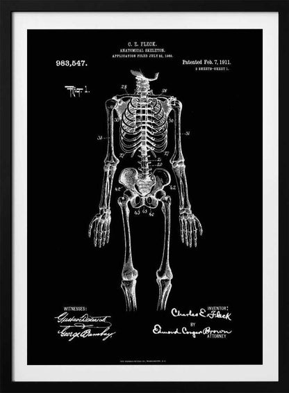 A framed, vintage-style patent illustration of a human anatomical skeleton, presented as a white drawing on a black background. The detailed skeleton is shown from the front, with text indicating the patent number, date, and inventor, C.E. Fleck. Signatures are visible at the bottom. Print