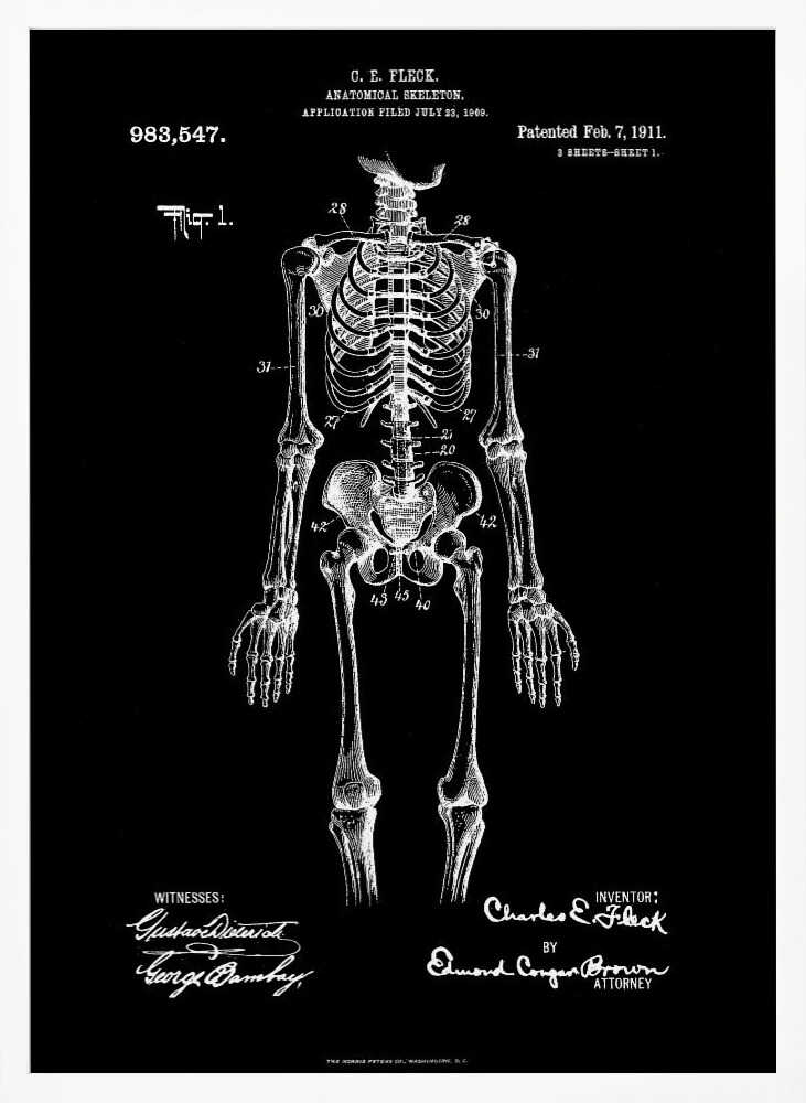 A framed, vintage-style patent illustration of a human anatomical skeleton, presented as a white drawing on a black background. The detailed skeleton is shown from the front, with text indicating the patent number, date, and inventor, C.E. Fleck. Signatures are visible at the bottom. Print