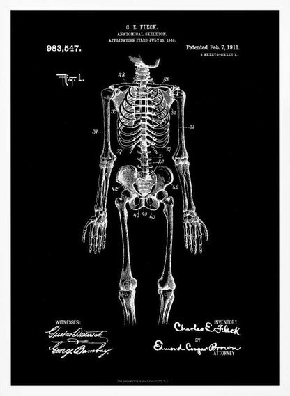 A framed, vintage-style patent illustration of a human anatomical skeleton, presented as a white drawing on a black background. The detailed skeleton is shown from the front, with text indicating the patent number, date, and inventor, C.E. Fleck. Signatures are visible at the bottom. Print