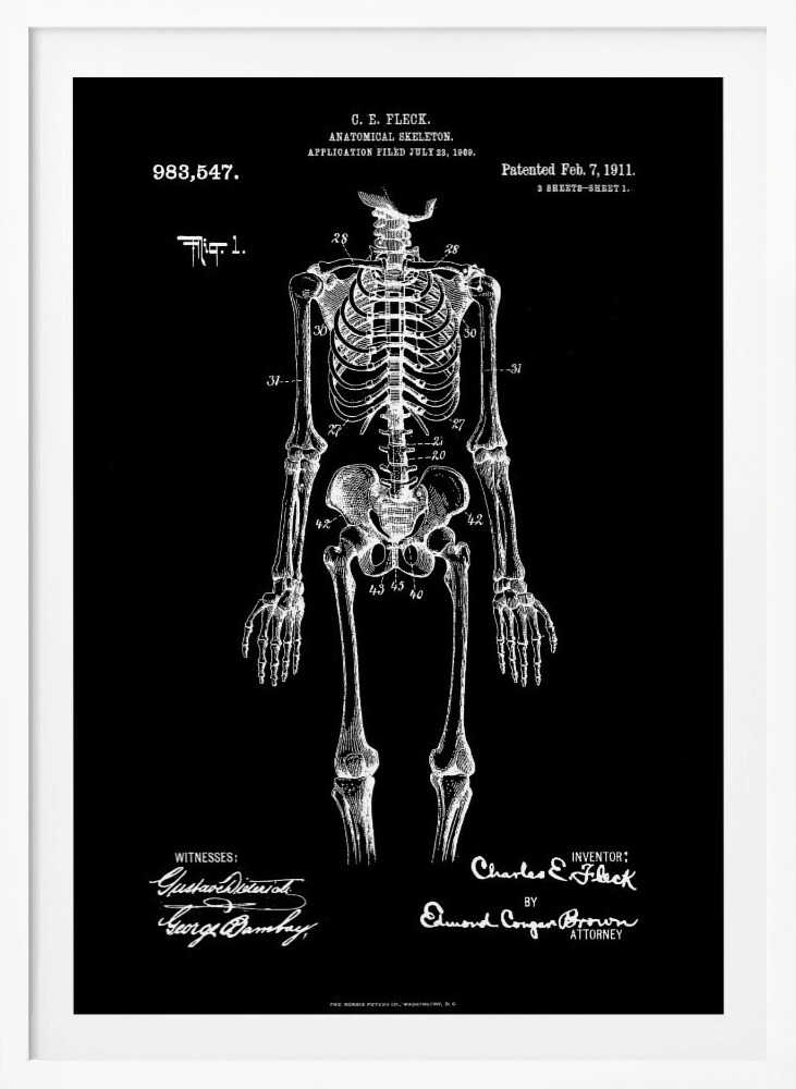 A framed, vintage-style patent illustration of a human anatomical skeleton, presented as a white drawing on a black background. The detailed skeleton is shown from the front, with text indicating the patent number, date, and inventor, C.E. Fleck. Signatures are visible at the bottom. Print