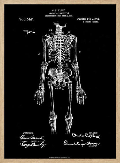 A framed, vintage-style patent illustration of a human anatomical skeleton, presented as a white drawing on a black background. The detailed skeleton is shown from the front, with text indicating the patent number, date, and inventor, C.E. Fleck. Signatures are visible at the bottom. Print